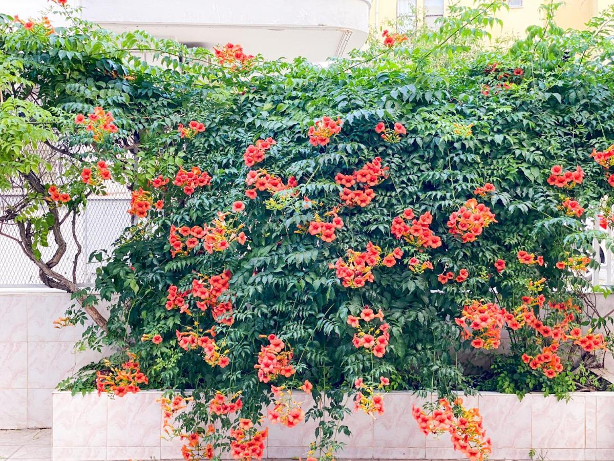 Bella Rose Apart Hotel, อลันยา ภายนอก รูปภาพ